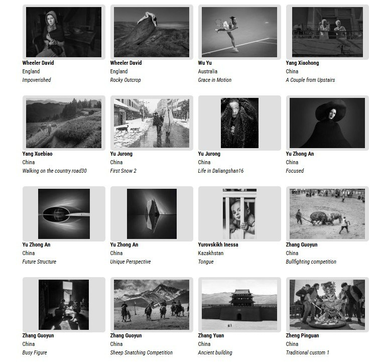 Выставки. Семейный и детский фотограф в Алматы Юровских Инесса