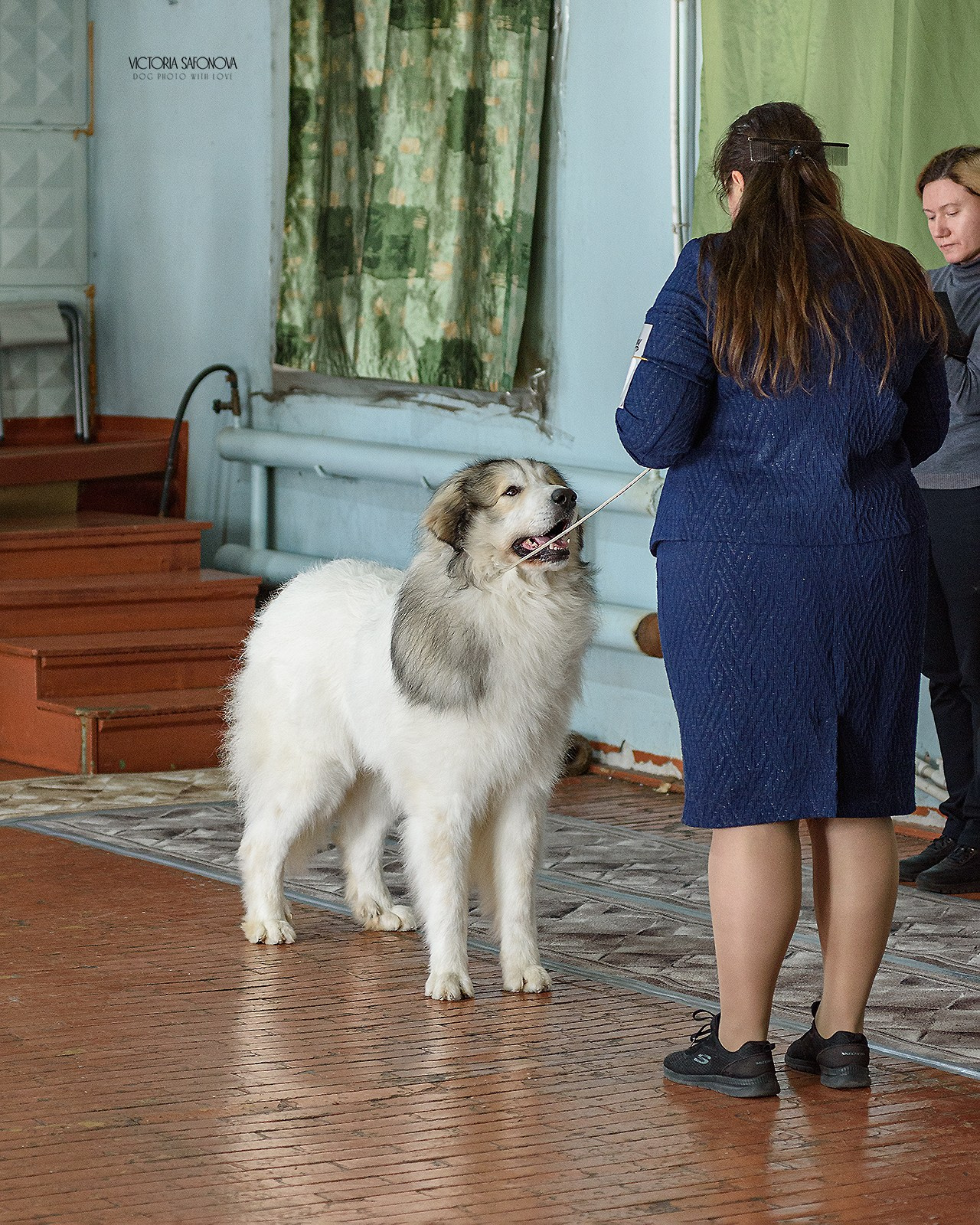3–4 февраля 2024 Благовещенск. Фотограф анималист Благовещенск. Сафонова Виктория