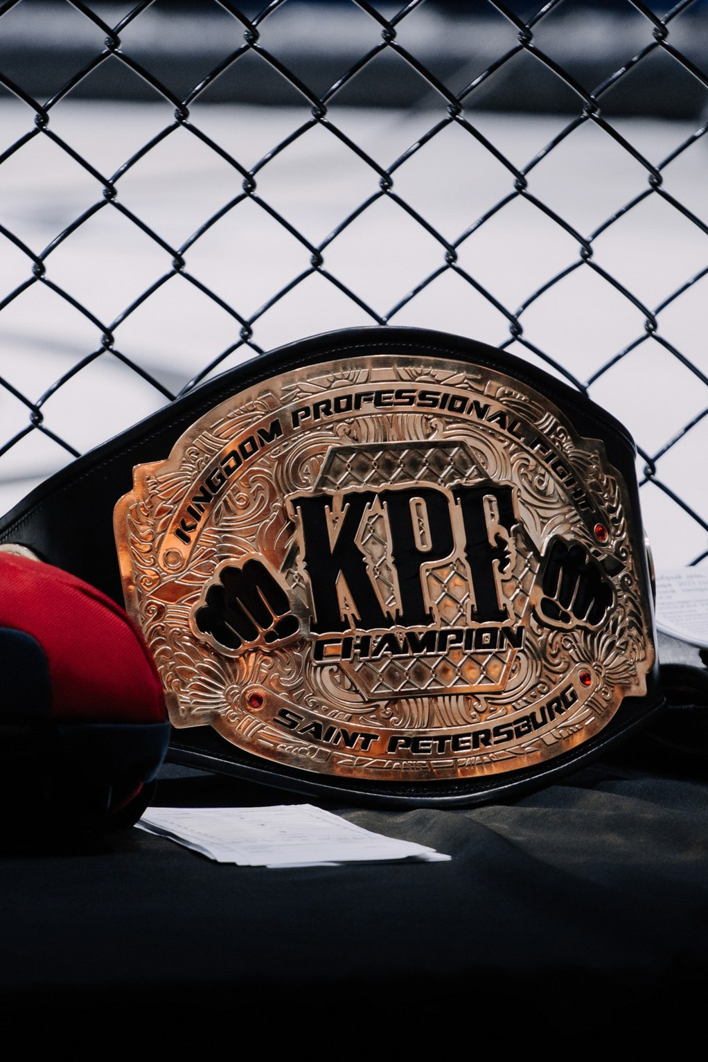KINGDOM PROFESSIONAL FIGHT 5. Photographer — ERASTOV