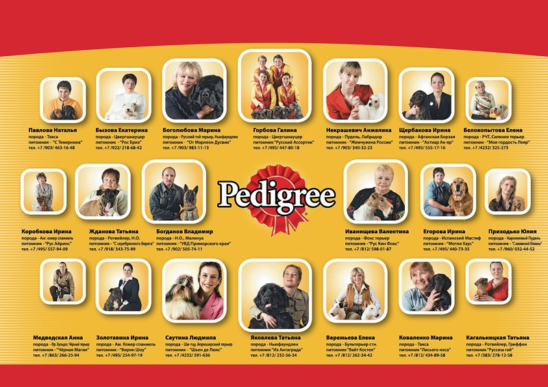 Профессиональная съёмка для рекламы и журналов в Москве