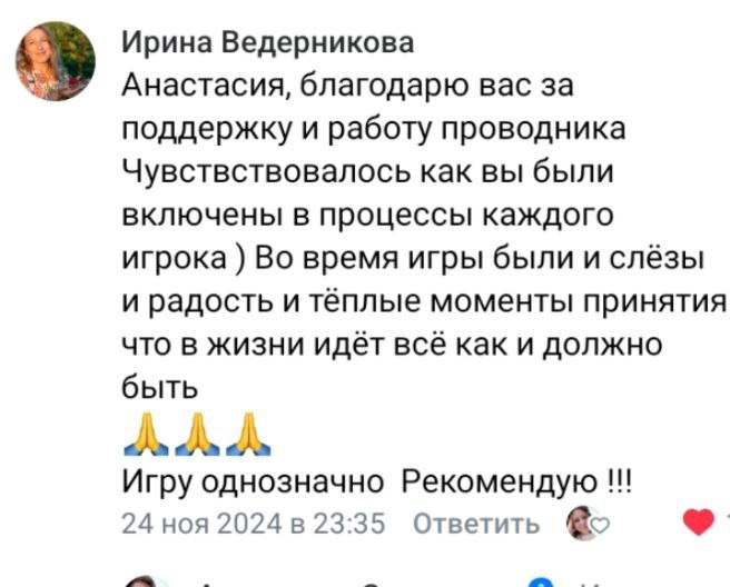 Анастасия Соловьева. Исследовательская игра ЗЕМЛЯНИН в Перми, Москве, Сочи, и других городах