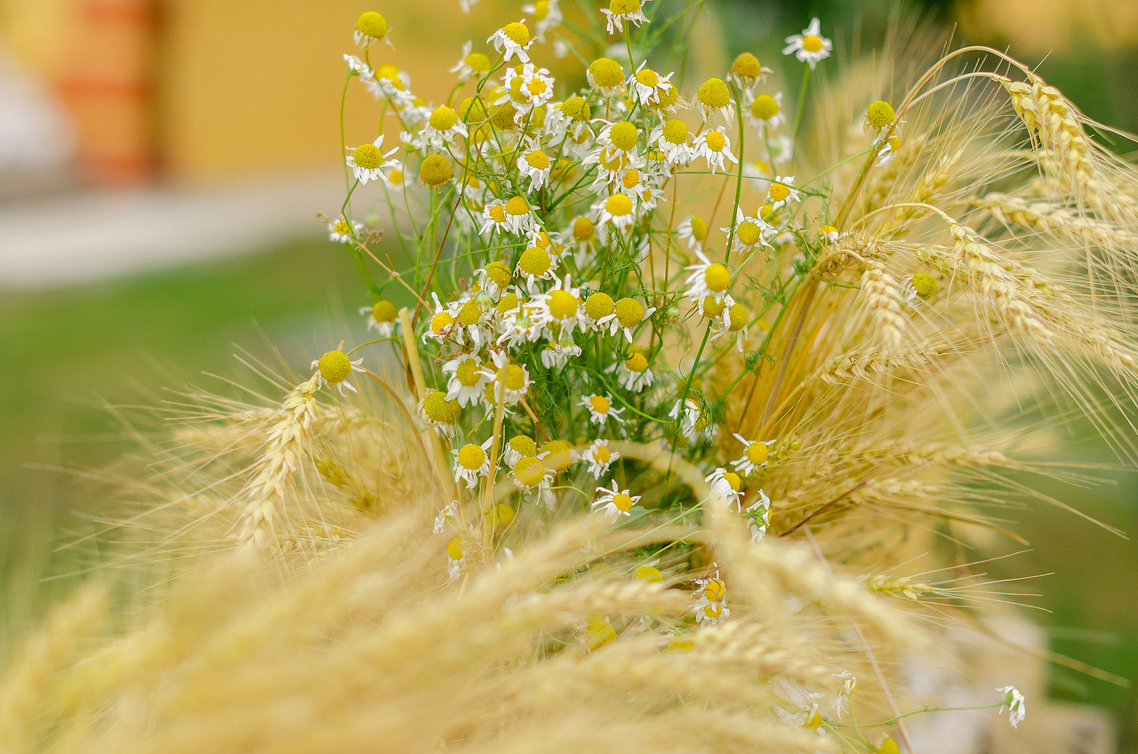 А&В. Фотограф Рязань. Дарья Дмитриева