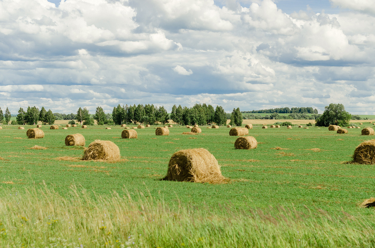 А&В. Фотограф Рязань. Дарья Дмитриева