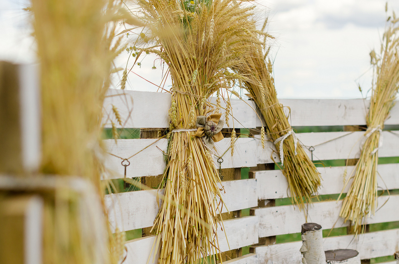 А&В. Фотограф Рязань. Дарья Дмитриева