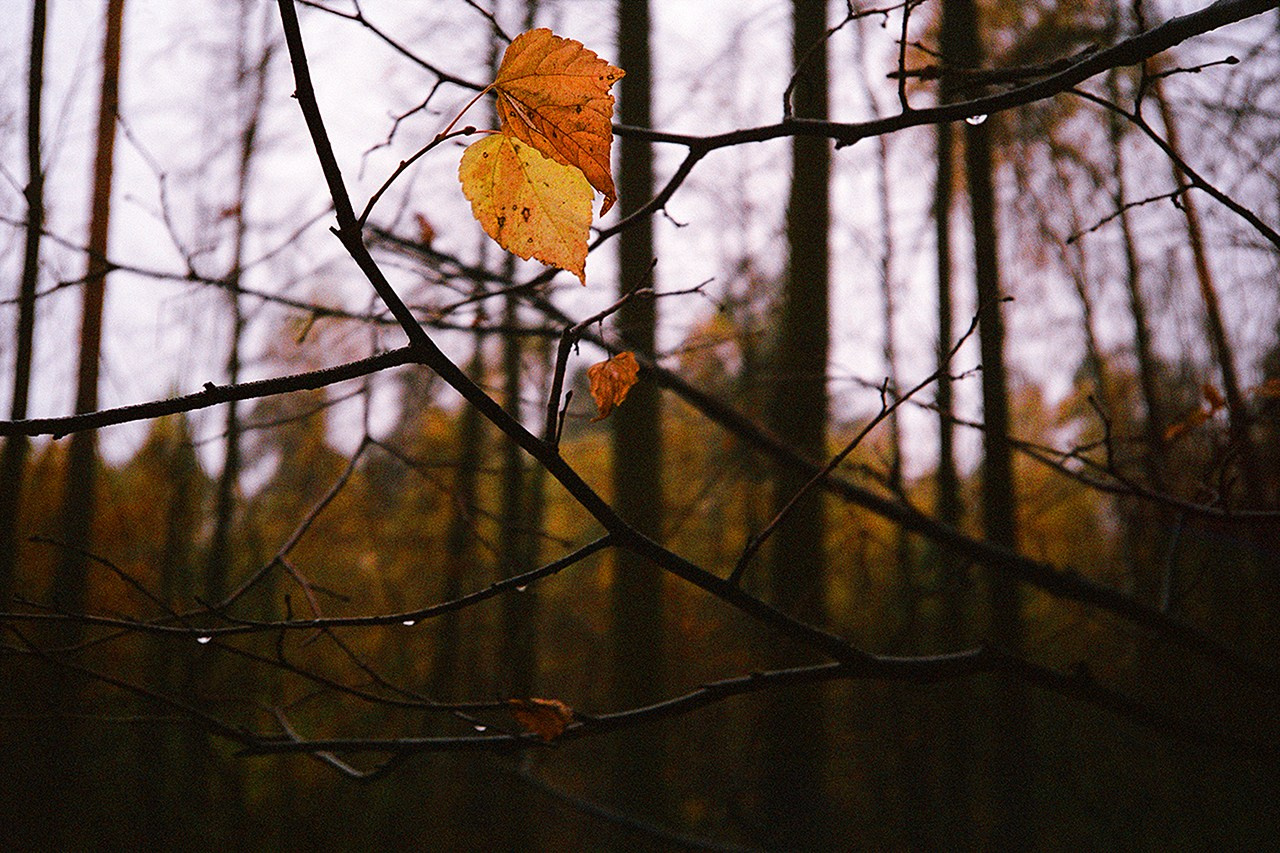 РАЗНОЕ. Андрей Пономарёв