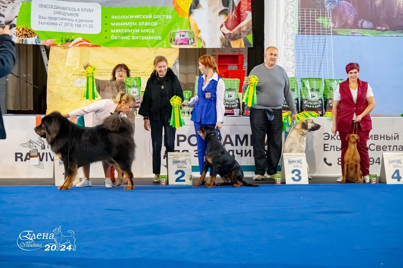 Отзывы. Фотограф анималист Елена Галдина г. Красноярск