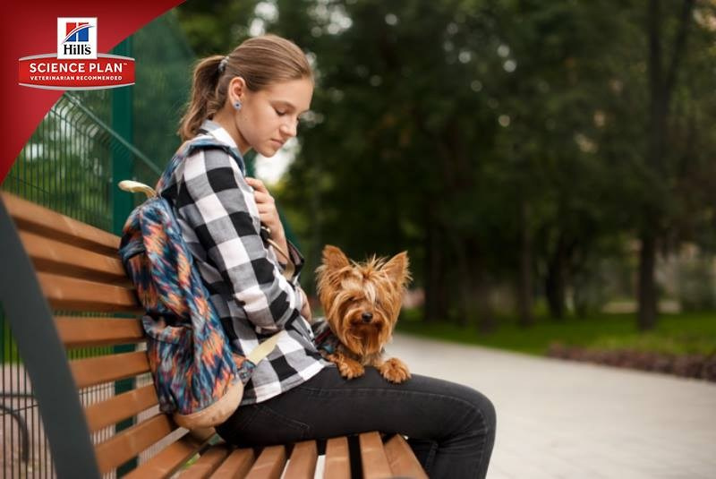 Фотосъёмка для компании Hill`s (2017, перенос со старого сайта). Фотограф собак, фотограф-анималист Аня Титова (Titanya). Москва