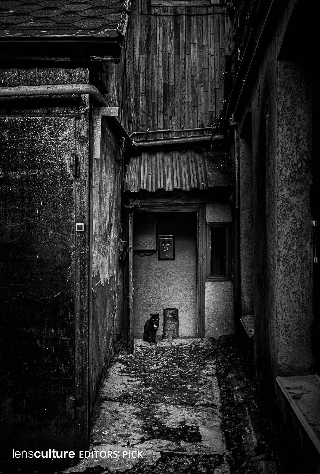 Моё фото в галерее конкурса Black & White lensculture.com/awards. Фотограф в Москве Татьяна Макотра