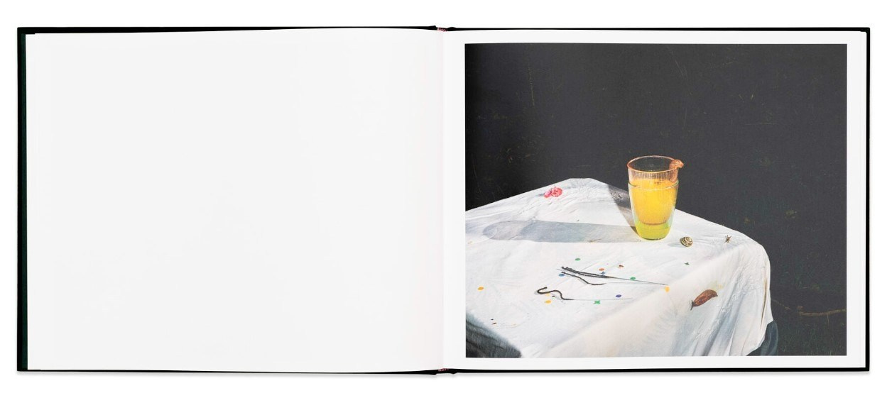 ОБЗОР АКТУАЛЬНЫХ ФОТОКНИГ: Листы I–XXXI. Самоорганизация Низина