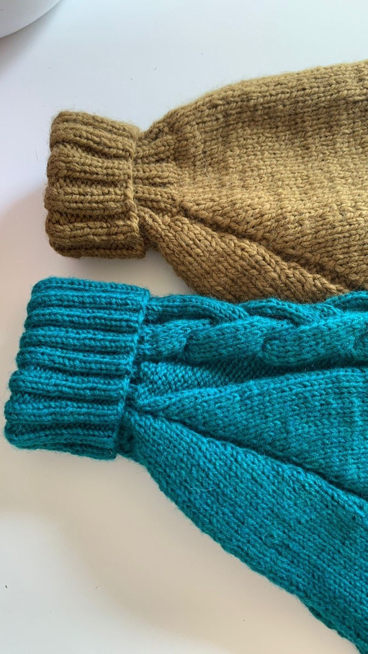 Одежда. Профессиональный питомник левреток РКФ/FCI ASTI SAPPHIRE 💎 Сочи|Санкт-Петербург