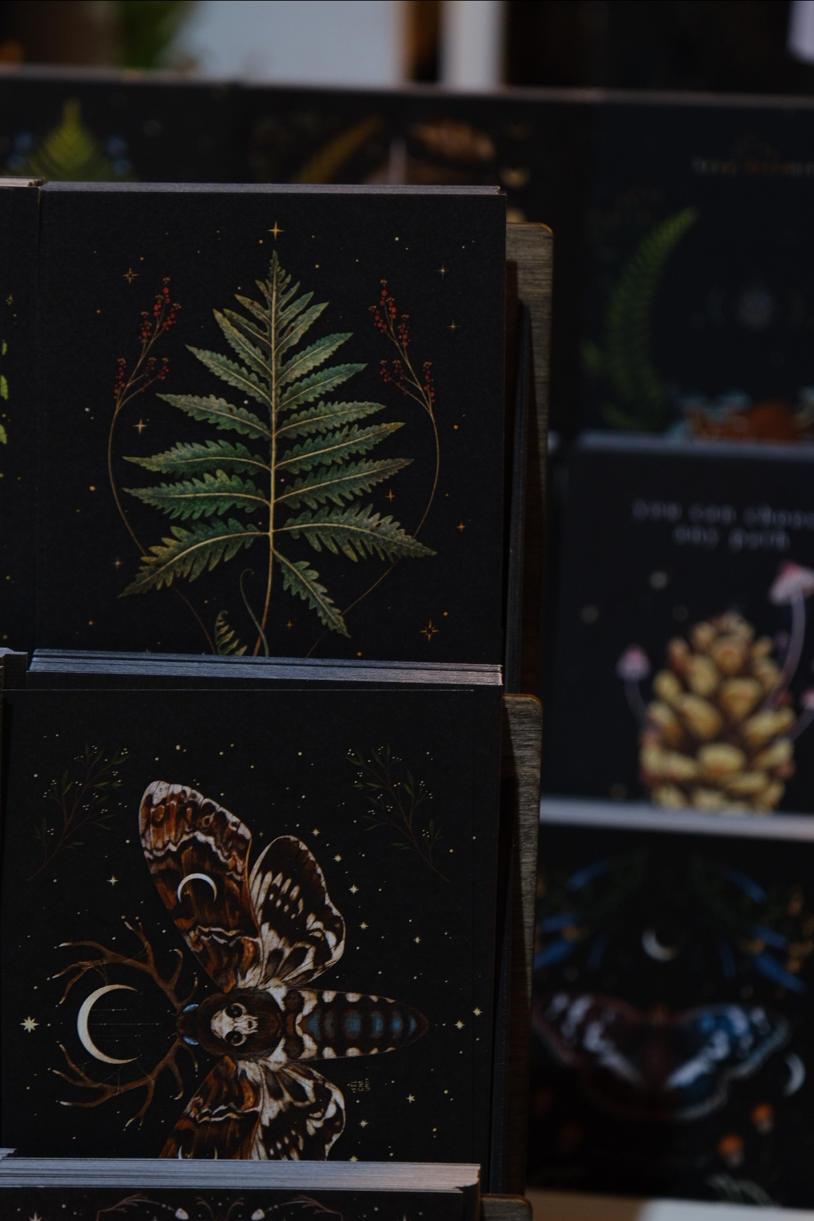 FERN fest. Индивидуальная фотосъёмка в Москве. Фотограф Василиса Тарасова