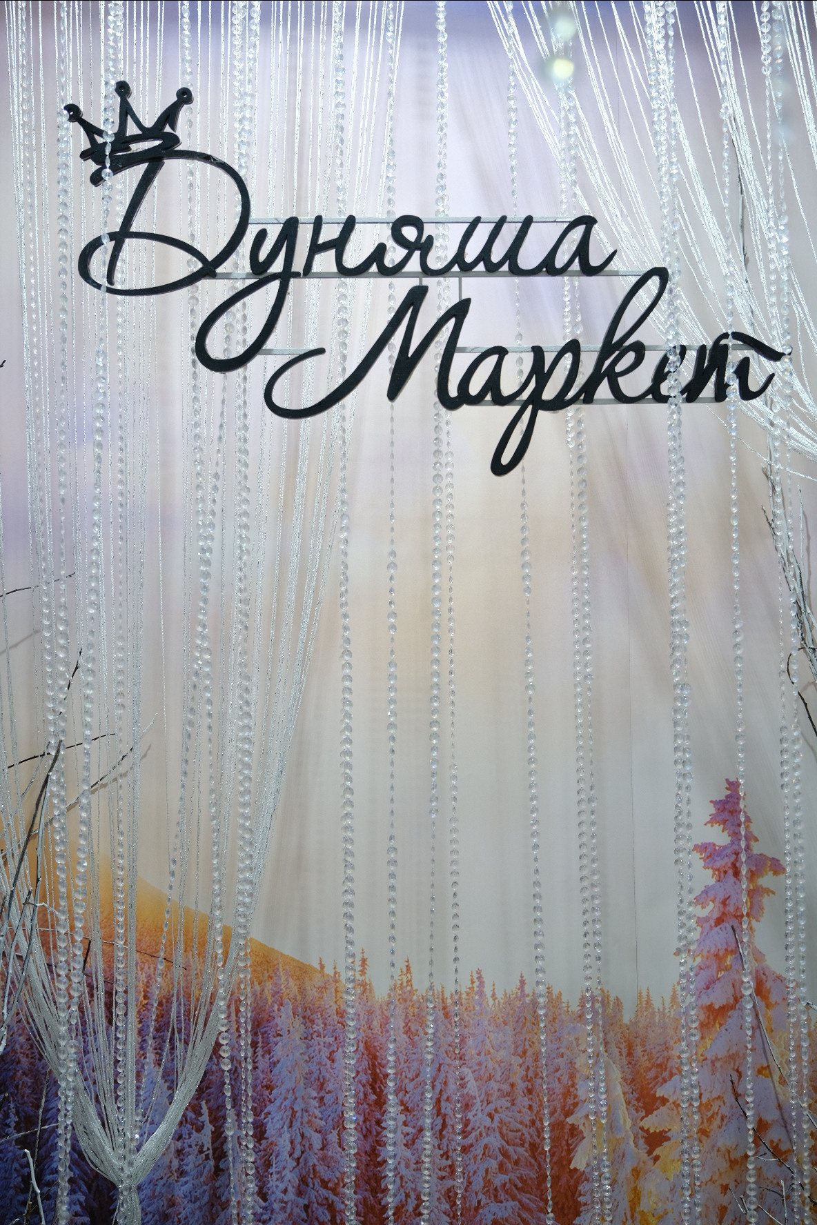 ДУНЯША market | Ярмарка новогодних подарков. Индивидуальная фотосъёмка в Москве. Фотограф Василиса Тарасова