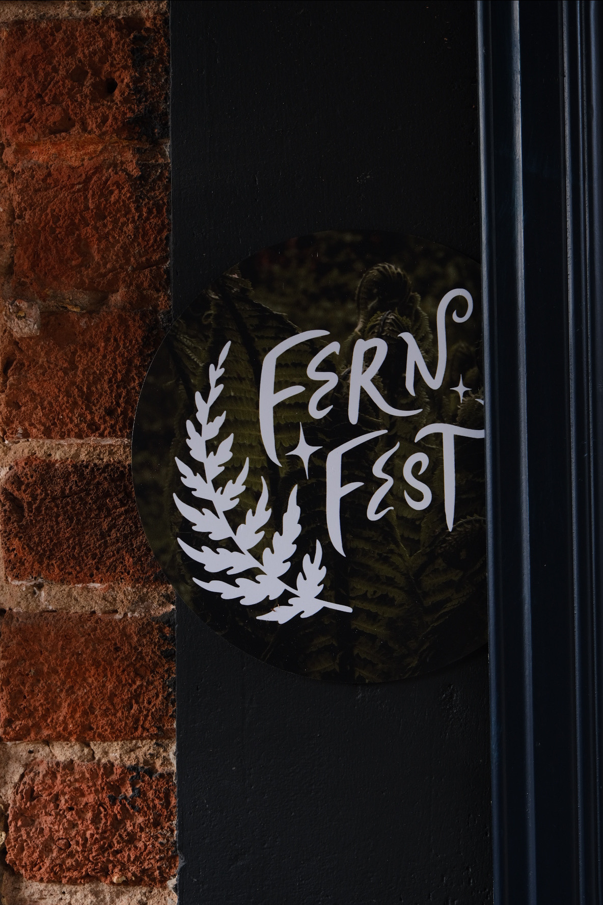 FERN fest. Индивидуальная фотосъёмка в Москве. Фотограф Василиса Тарасова