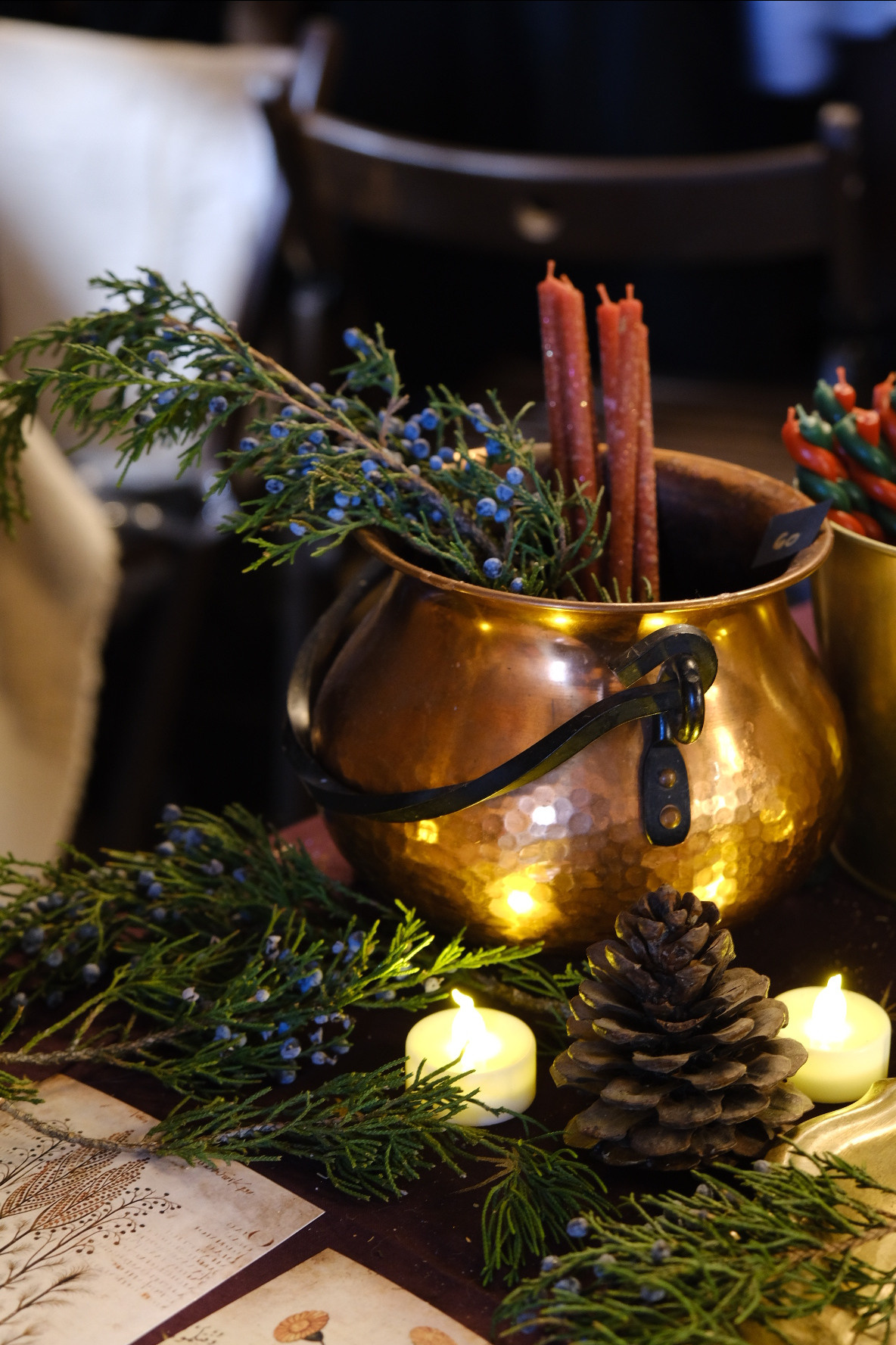 FERN fest. Индивидуальная фотосъёмка в Москве. Фотограф Василиса Тарасова