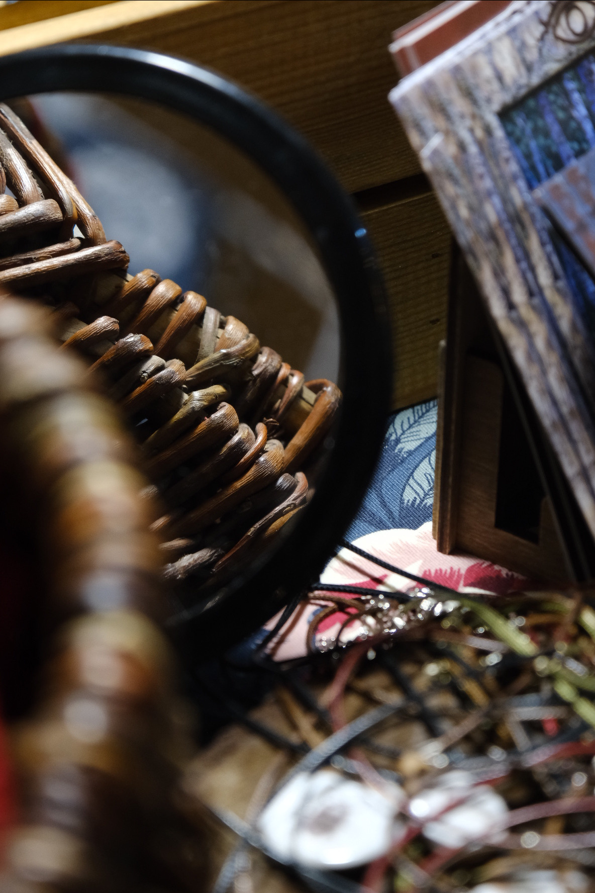 FERN fest. Индивидуальная фотосъёмка в Москве. Фотограф Василиса Тарасова