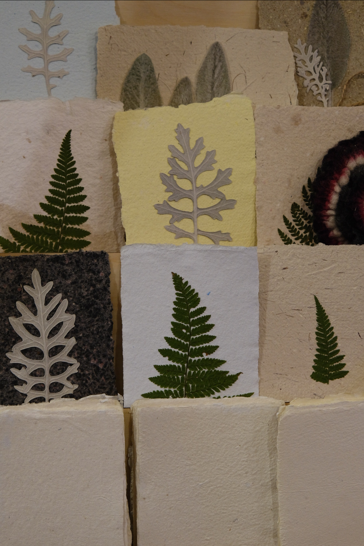 ИНКЛЮЗИВНЫЙ БАЗАР #PRO-ремесло. Индивидуальная фотосъёмка в Москве. Фотограф Василиса Тарасова