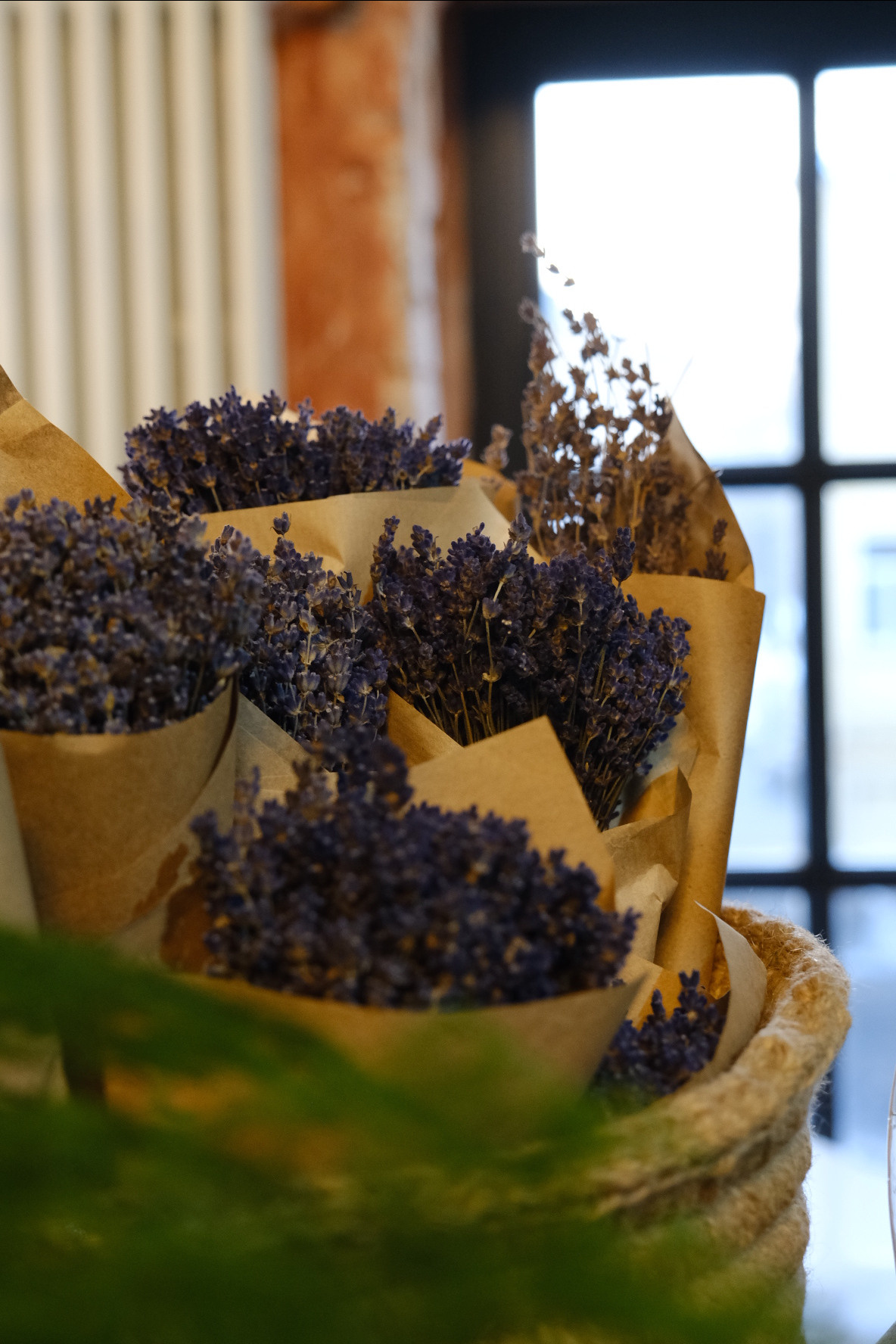 FERN fest. Индивидуальная фотосъёмка в Москве. Фотограф Василиса Тарасова