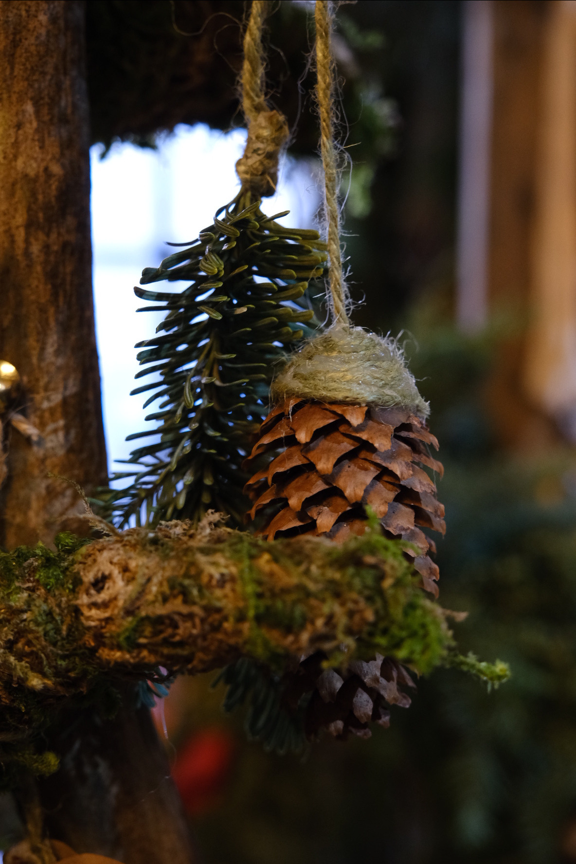 FERN fest. Индивидуальная фотосъёмка в Москве. Фотограф Василиса Тарасова