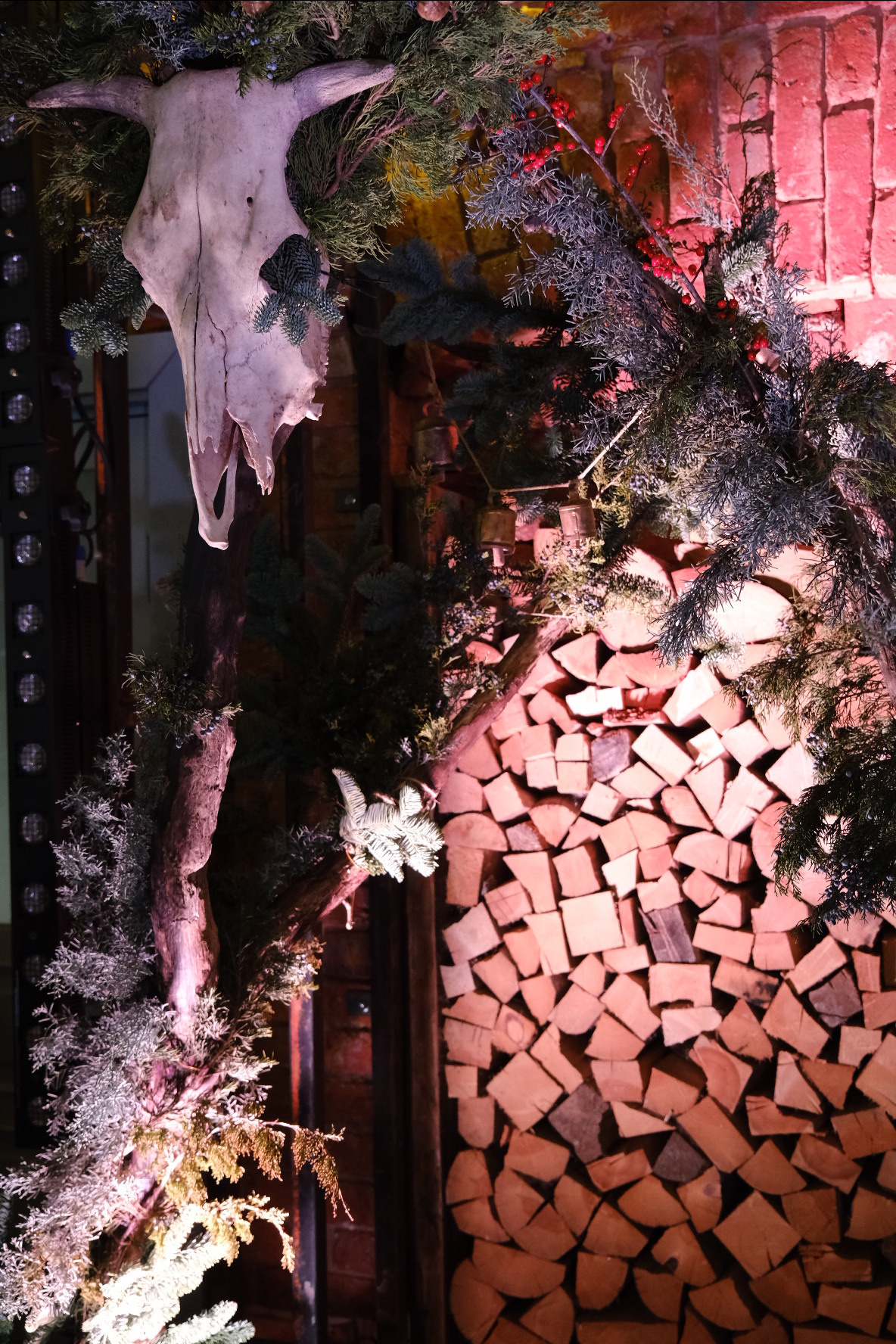 FERN fest. Индивидуальная фотосъёмка в Москве. Фотограф Василиса Тарасова