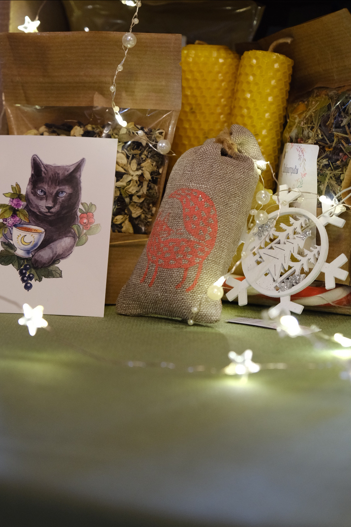 FERN fest. Индивидуальная фотосъёмка в Москве. Фотограф Василиса Тарасова