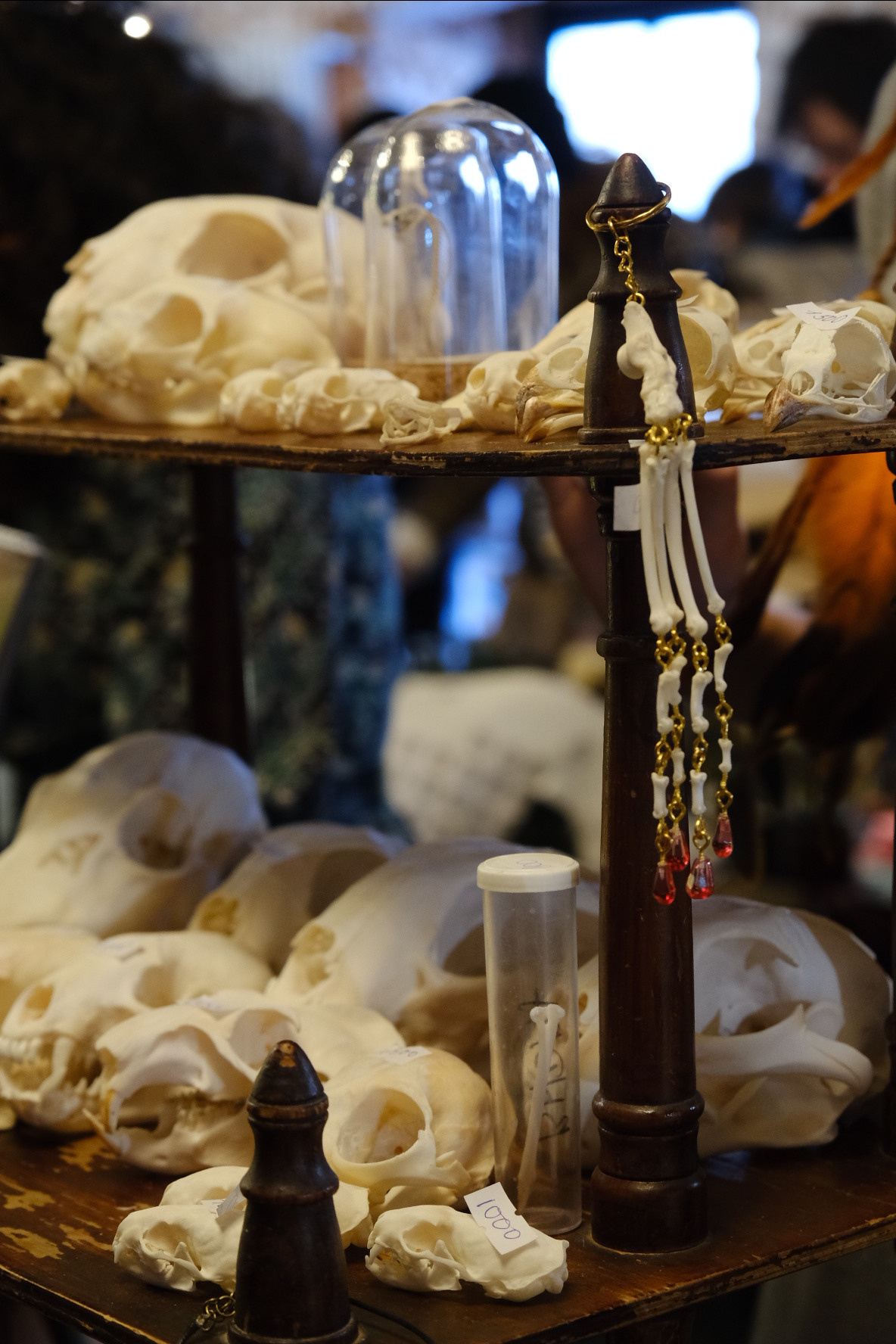 FERN fest. Индивидуальная фотосъёмка в Москве. Фотограф Василиса Тарасова