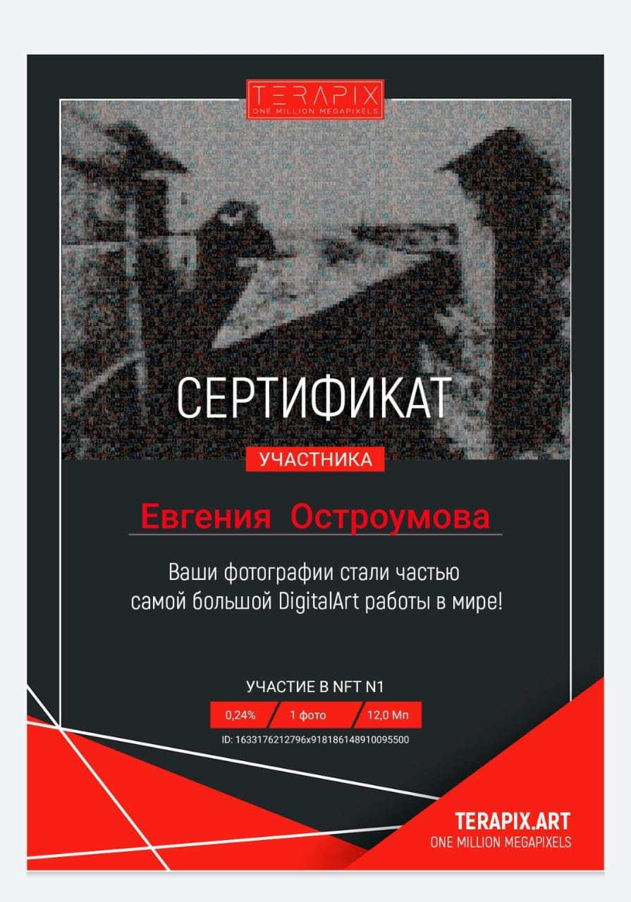 Награды. Художественный фотограф. Фотосессии, Обучение, Ревью