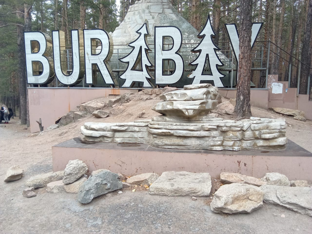 Боровое, бор, лес, елки, отдых, природа