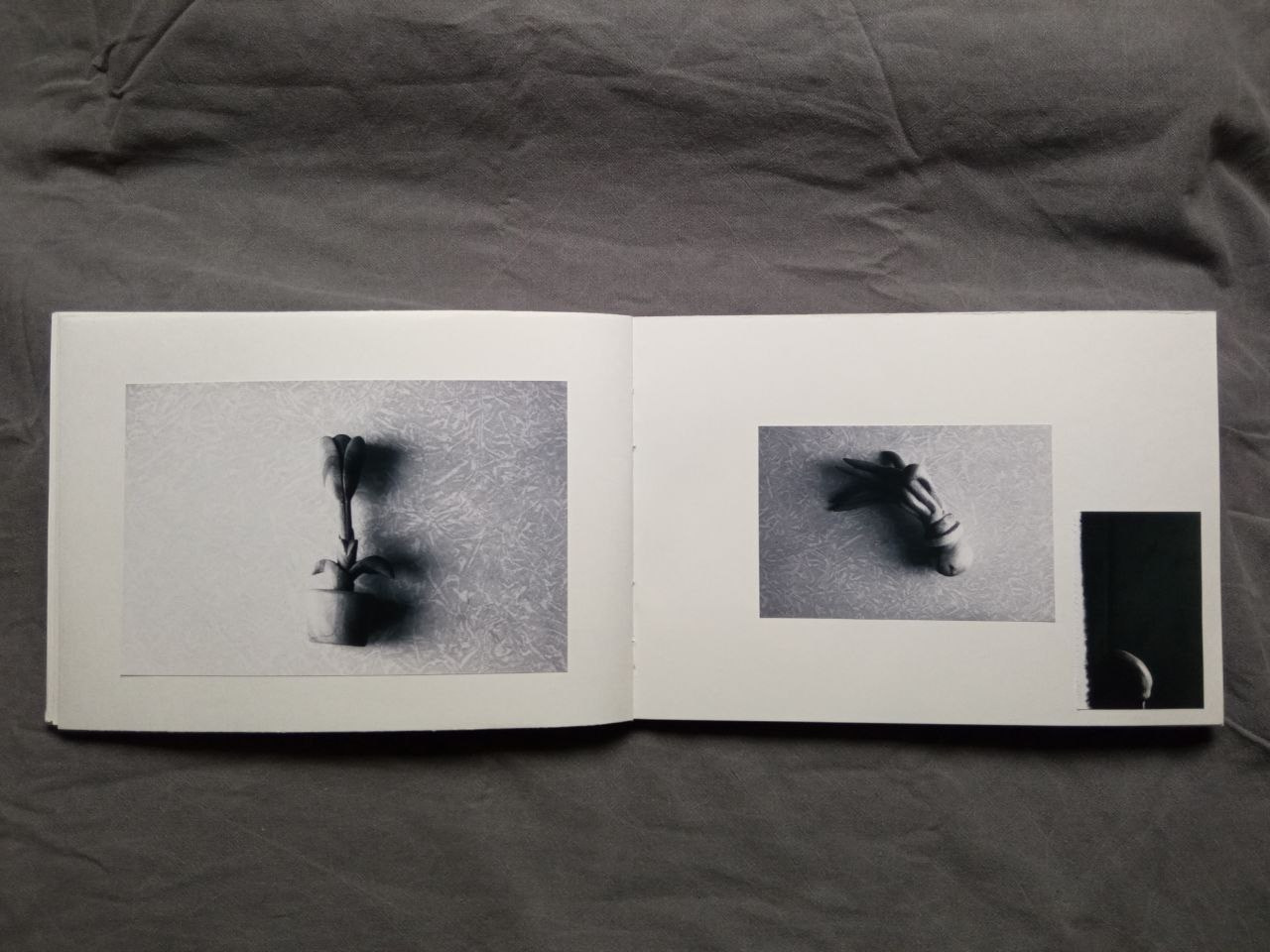 Максим Юданов | Деревья, трава и камни. Private image