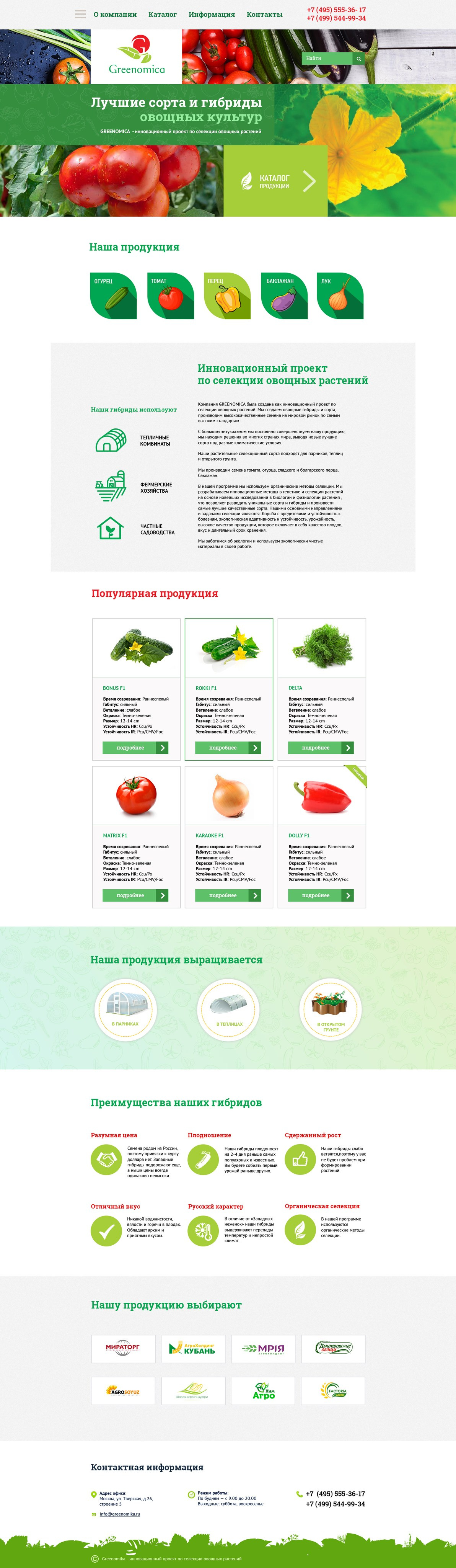 Веб-дизайн. Дизайнер Шульгина Наталья