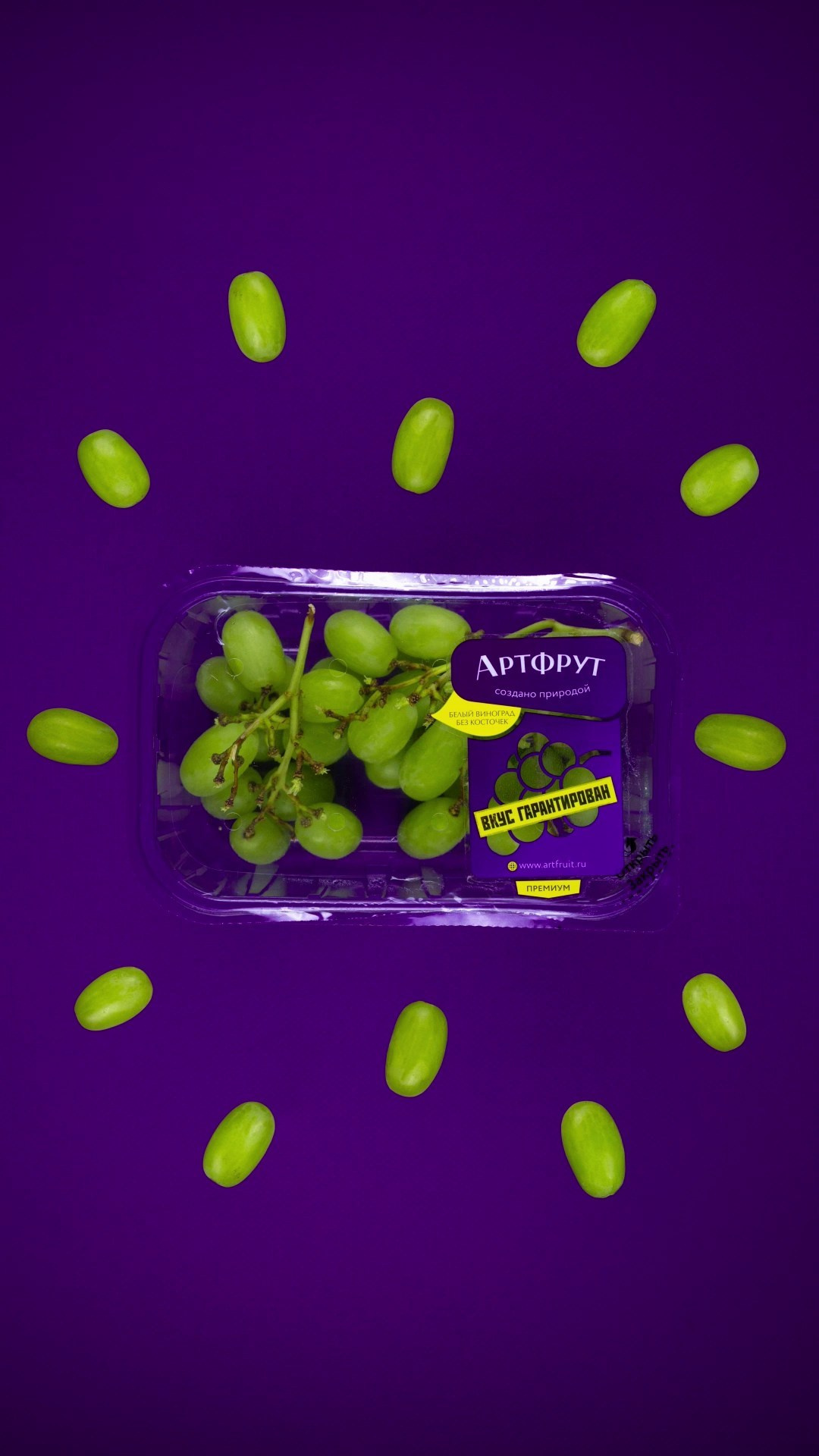 Stop motion анимация. Фотограф и motion аниматор Екатерина Синевич