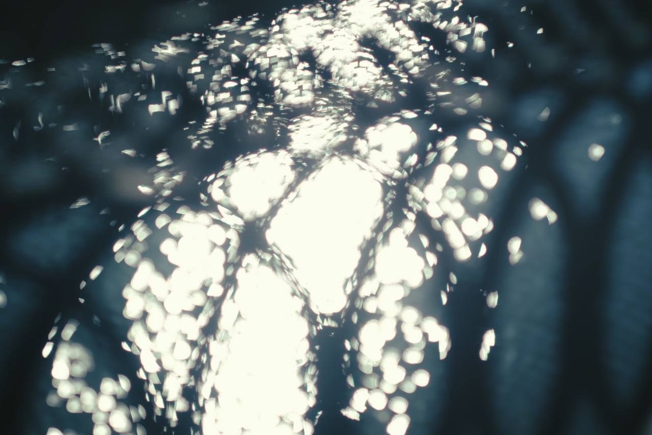 Автор: Юлианна Короткова