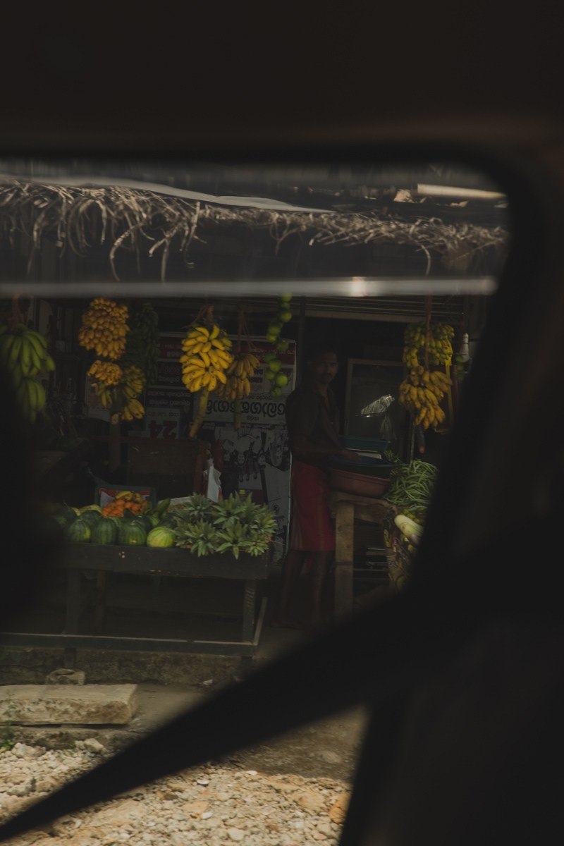 Шри-ланка. Ретрит «Bodу.Mind.Soul» Март 2024 Фото. Профессиональный фотограф Татьяна Евглевская