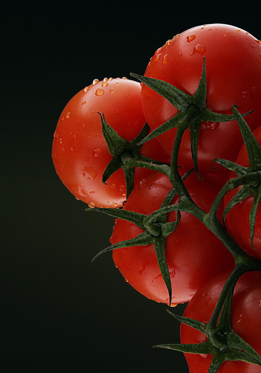 ПОРТФОЛИО. Фотограф Андрей Пономарёв