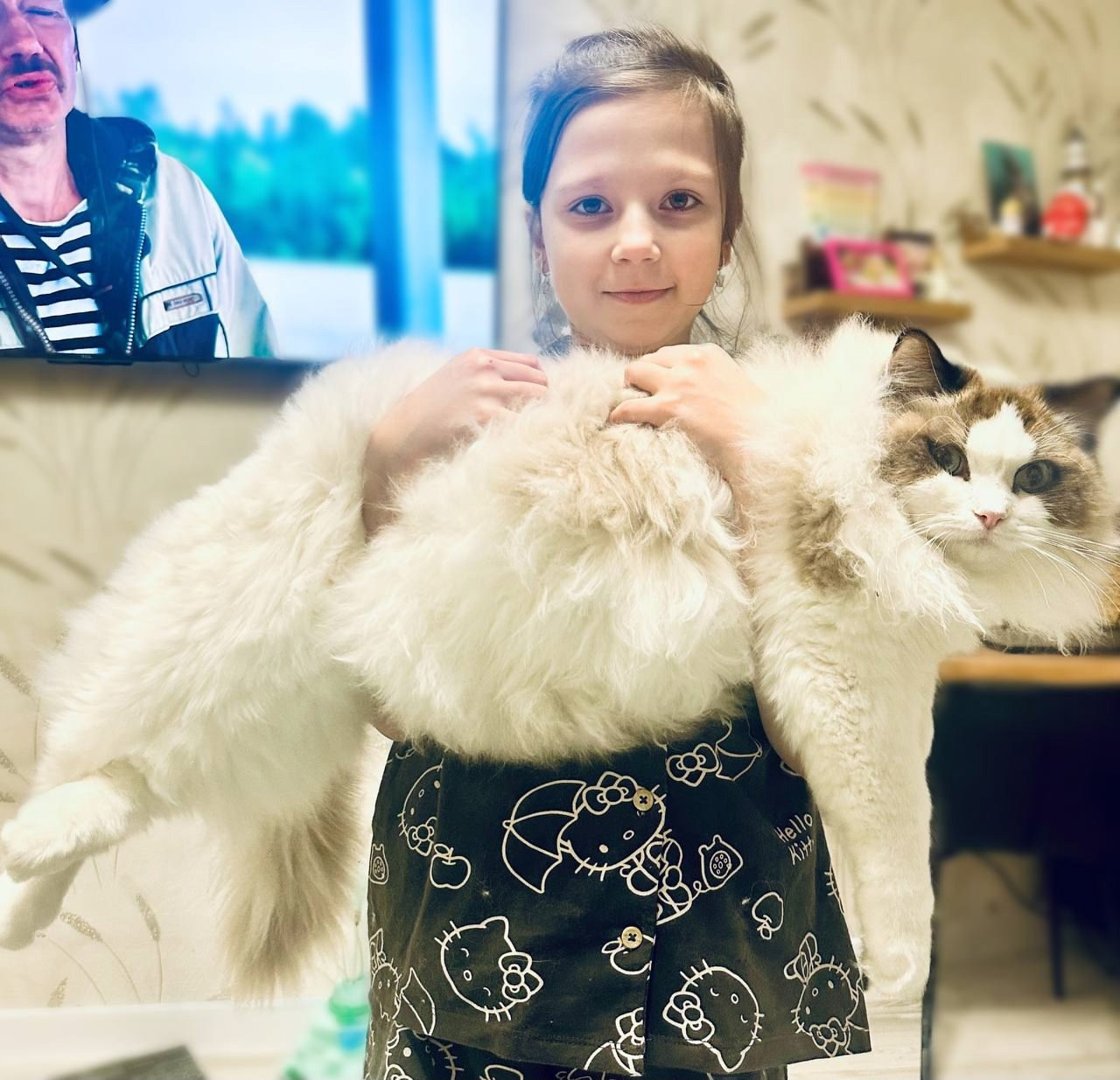 Выпускники Loyal Adore. Питомник рэгдолл Loyal Adore