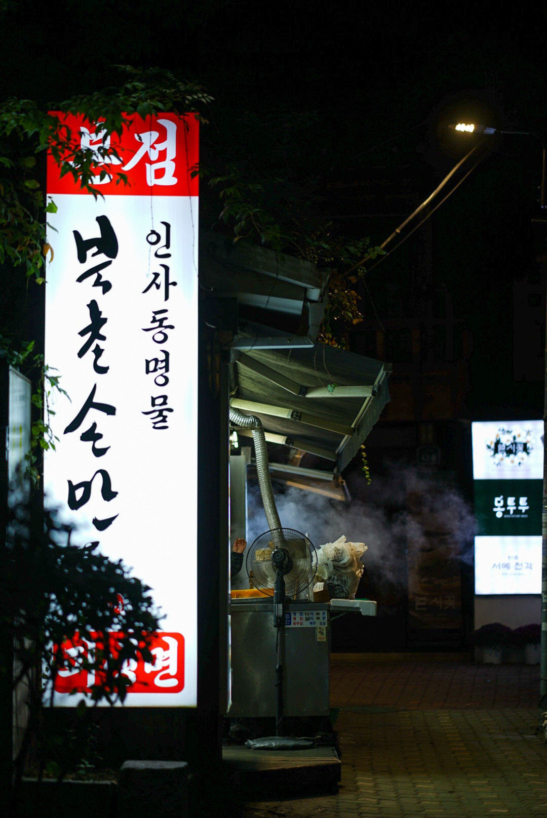 SOUTH KOREA. AnatoliiVolf