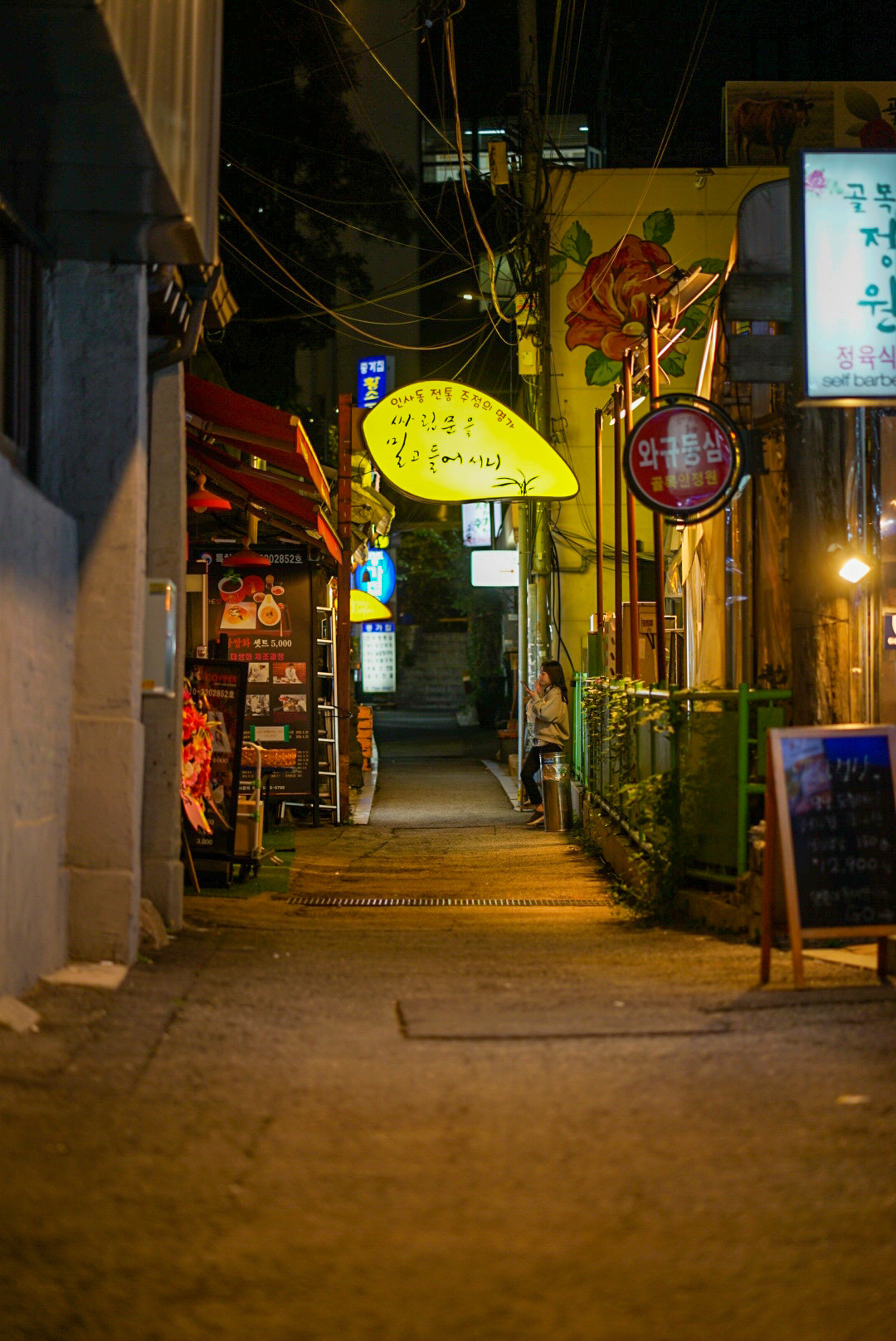 SOUTH KOREA. AnatoliiVolf