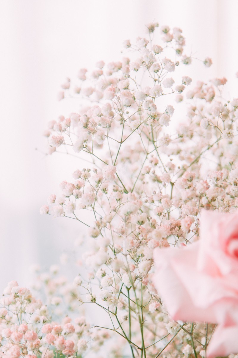 Михаил и Ольга