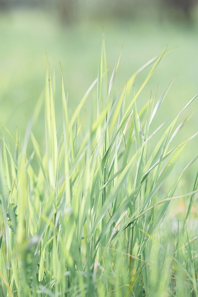 Егор и Саша