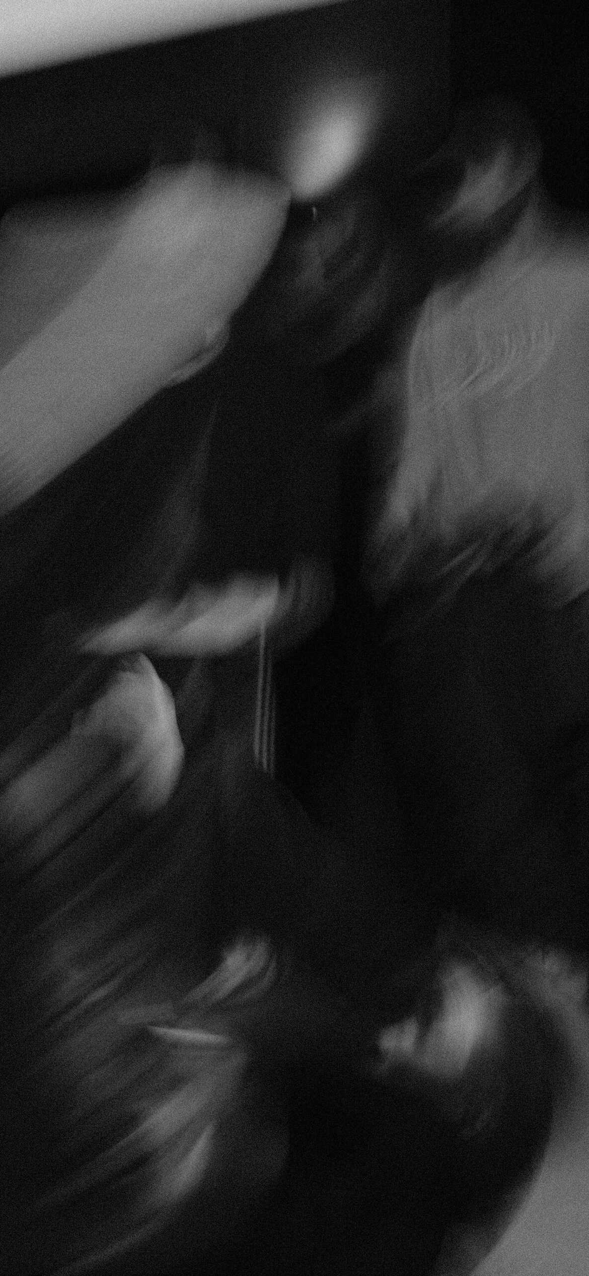 NBD 2023. LIYALEE PHOTO