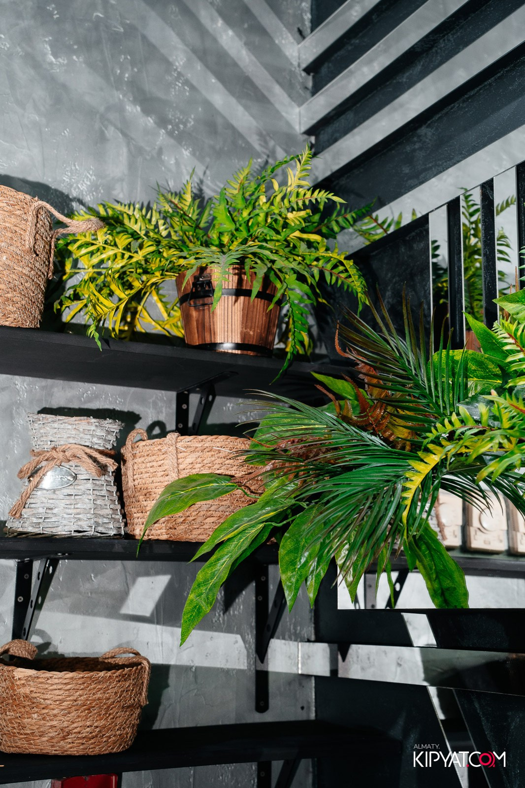 УХО И МЕДВЕДЬ НА КУРМАНГАЗЫ. КИПЯТКОМ АЛМАТЫ!