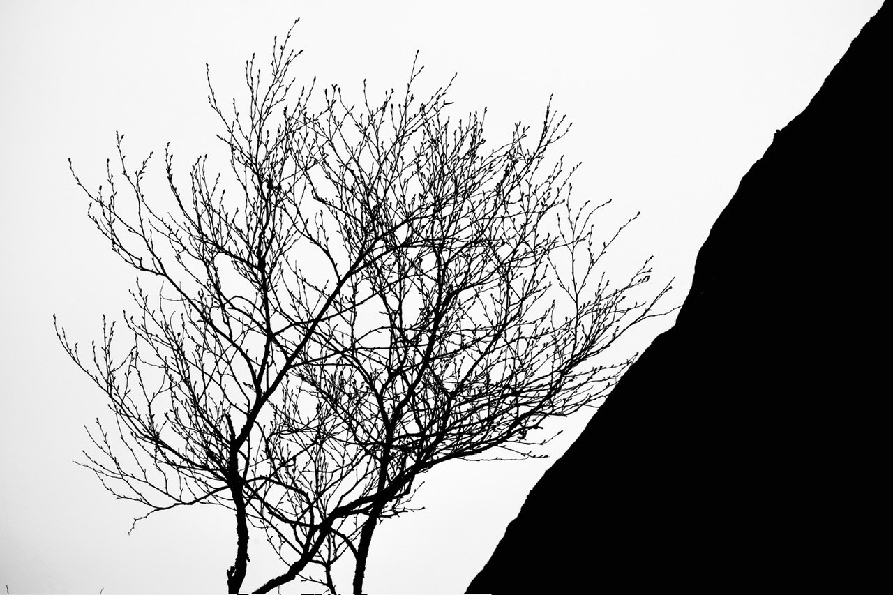 Реальная геометрия. Фотограф Евгений Андреев