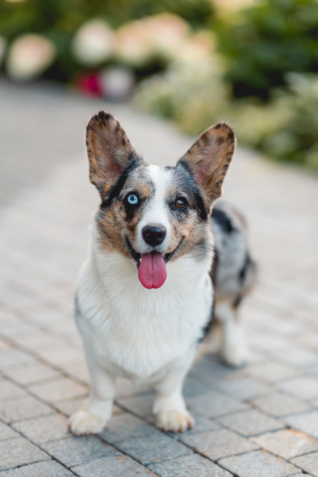 Отзывы. Семейный фотограф в Москве Татьяна Болтиева