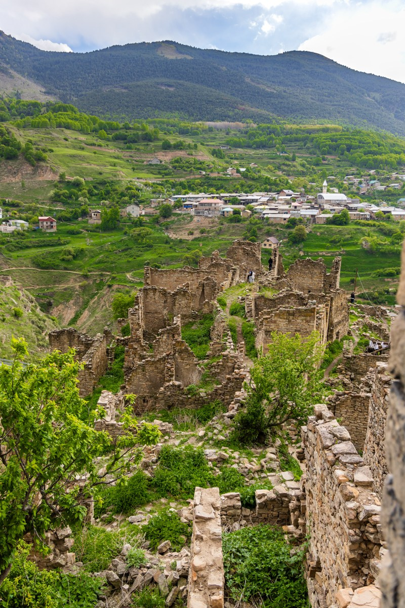 Аул Кахиб. Photomantis