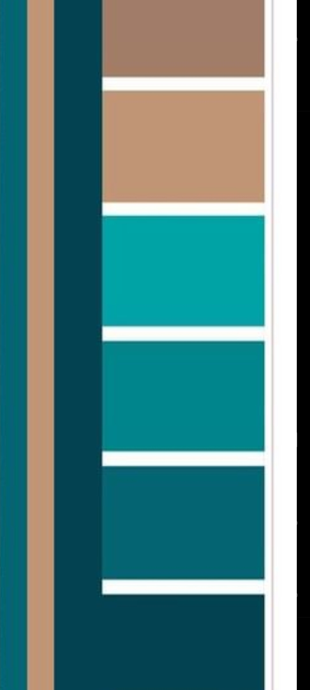 Сочетание цветов. Фотограф Армавир