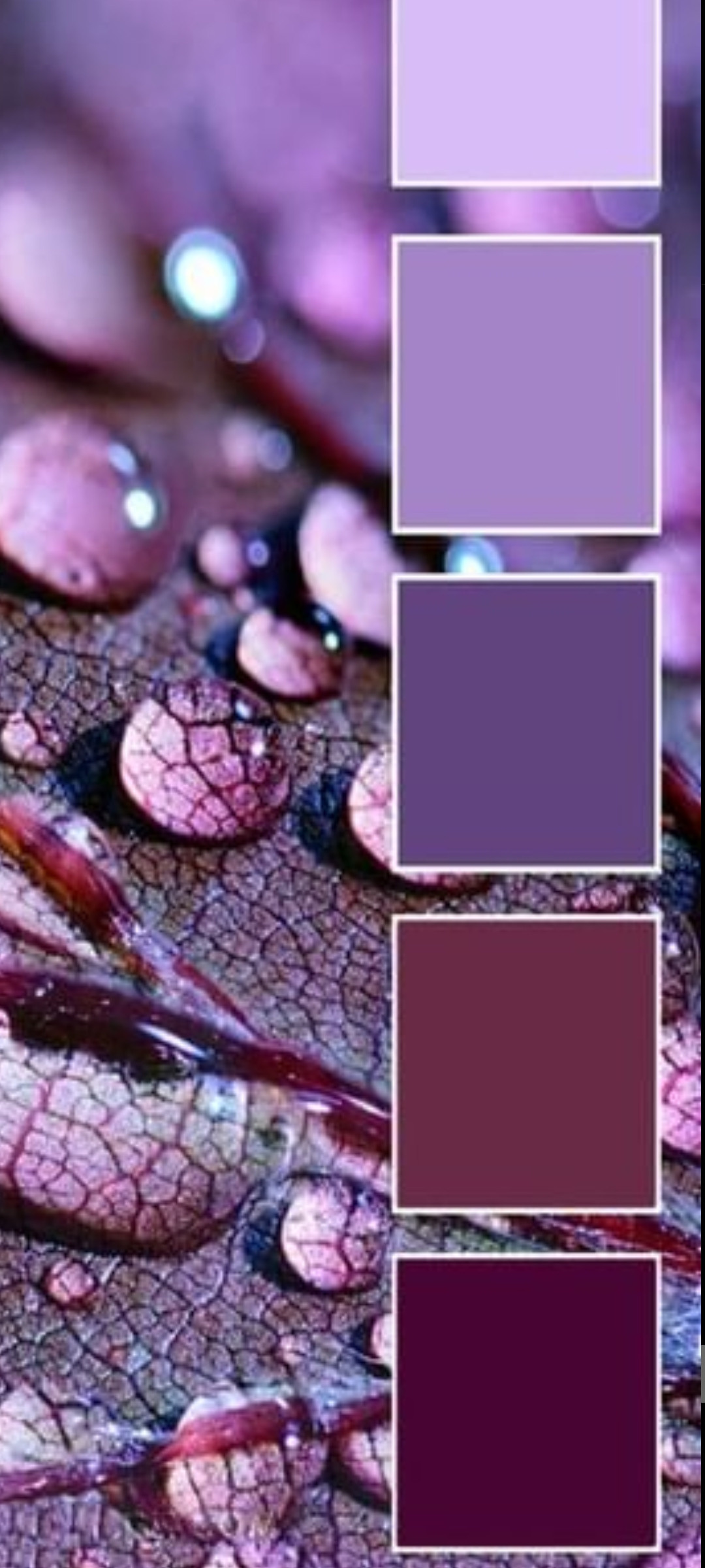 Сочетание цветов. Фотограф Армавир