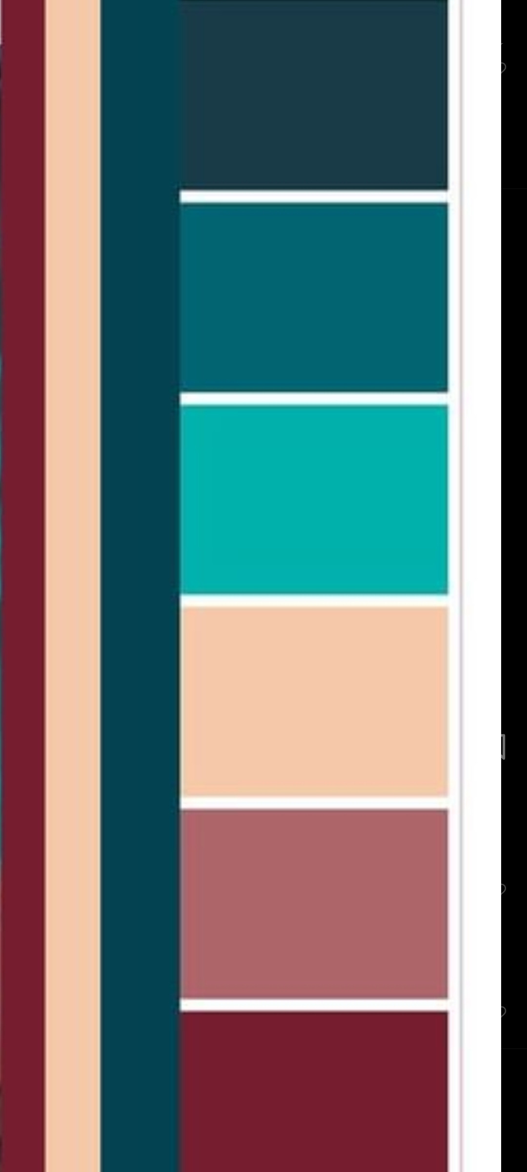 Сочетание цветов. Фотограф Армавир