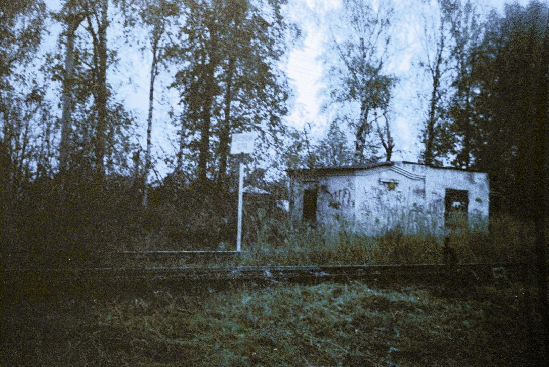 Сбрасывающий остряк. Татьяна Белякова — Фотохудожник | Концептуальная аналоговая фотография