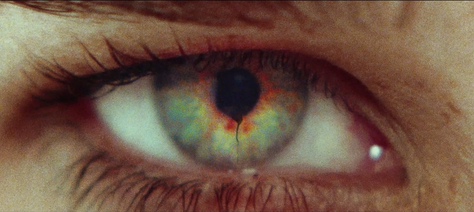 Color Theory. TENZO | Creative Producer / Art Director