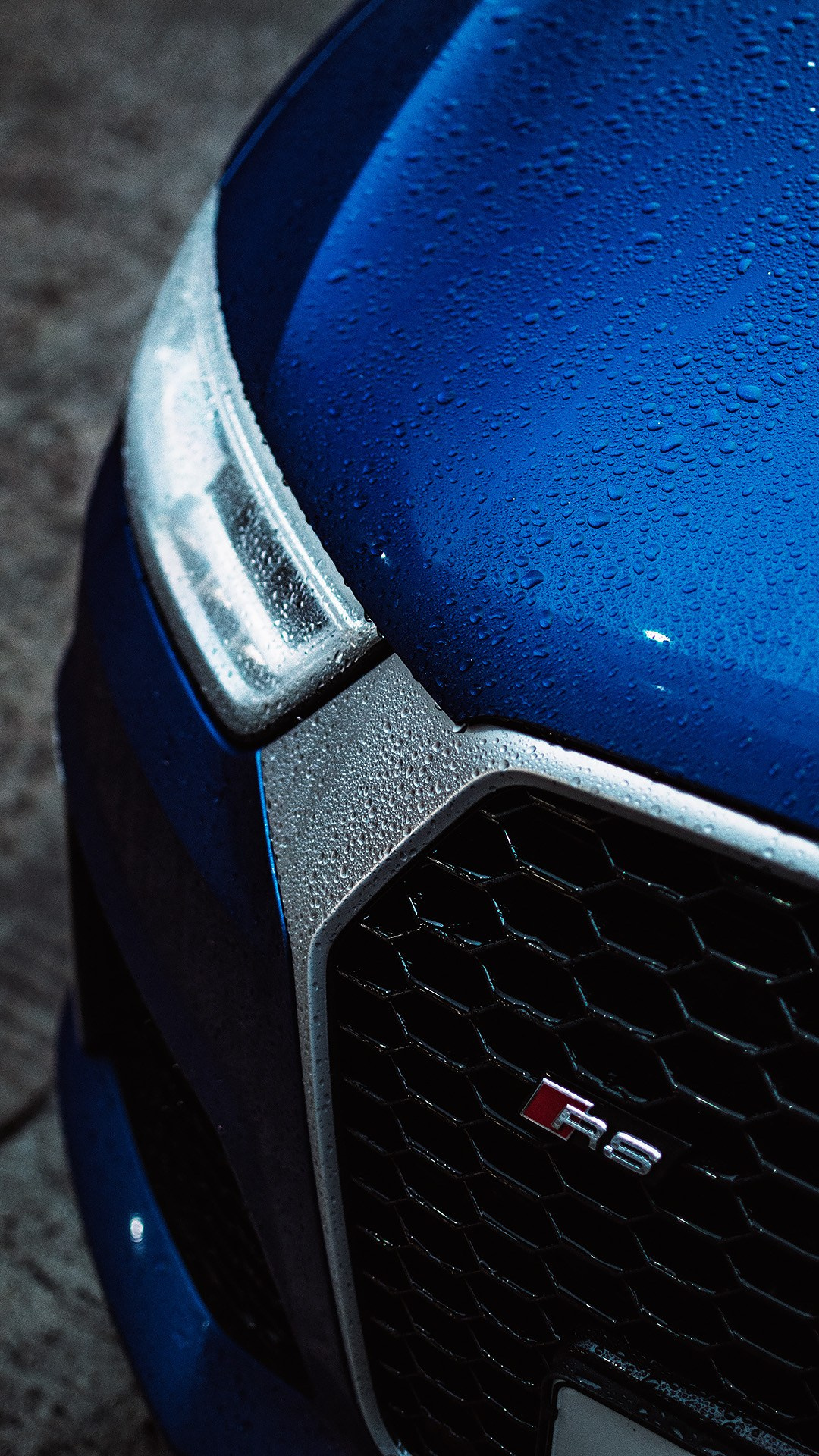 Random Frames — 2021. Grefelus