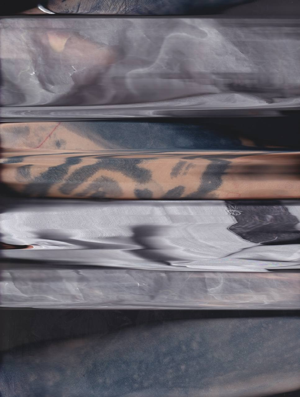 SEDIMENTS AND FOSSILS. Xexexena.ru